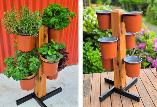 Herb Trees - The Veggie Garden Herb Trees - The Veggie Garden