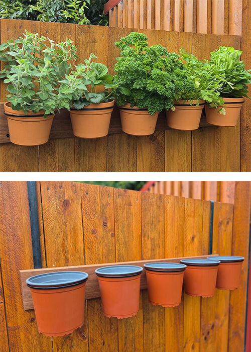 Herb Walls - The Veggie Garden