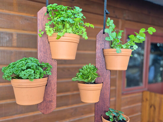 Herb Hangers - The Veggie Garden Herb Hangers - The Veggie Garden