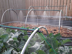 Micro Sprinklers - The Veggie Garden Micro Sprinklers - The Veggie Garden