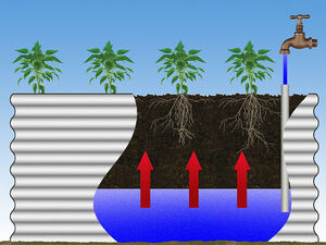 Self watering kit - The Veggie Garden Self watering kit - The Veggie Garden