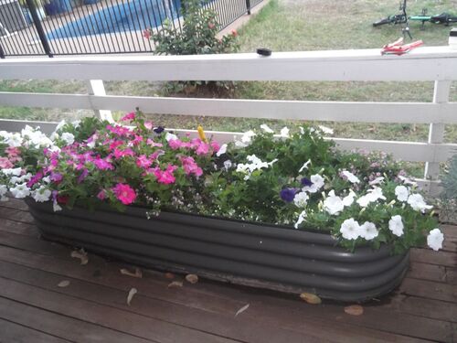 Garden Planters - The Veggie Garden