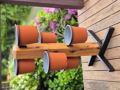 Herb Trees - The Veggie Garden